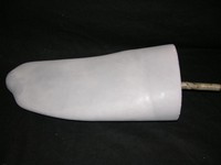 Dolphin Tale Tale Mold Movie Props