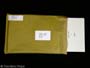 1408 - Mike�s (John Cusack) SCREEN USED Manuscript Movie Props