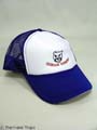 FRIDAY NIGHT LIGHTS- "Cougar Country" Cap
