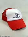 FRIDAY NIGHT LIGHTS- White "Cougar Country" Hats