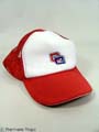 FRIDAY NIGHT LIGHTS- Cougar Hat