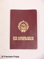 In the Land Maida (Dolya Gavanski) Passport Movie Props