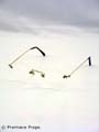 Married Life Richard (Pierce Brosnan) Glasses Movie Props
