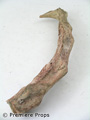 Premiere Props - Mutant Chronicles - Mutant Tentacle Piece 