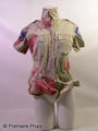Sheriff Julie (Elisabeth Shue) Sheriff Shirt Movie Costumes