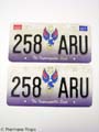 SKINWALKERS Rachel�s (Rhona Mitra) License Plate MOVIE PROPS