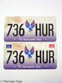SKINWALKERS Jonas� (Elias Koteas) License Plate MOVIE PROPS