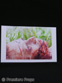 The Dead Girl Krista (Brittany Murphy) Crime Scene Movie Props