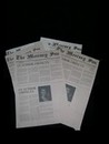Young Adult Mavis (Charlize Theron) Newspaper Movie Props