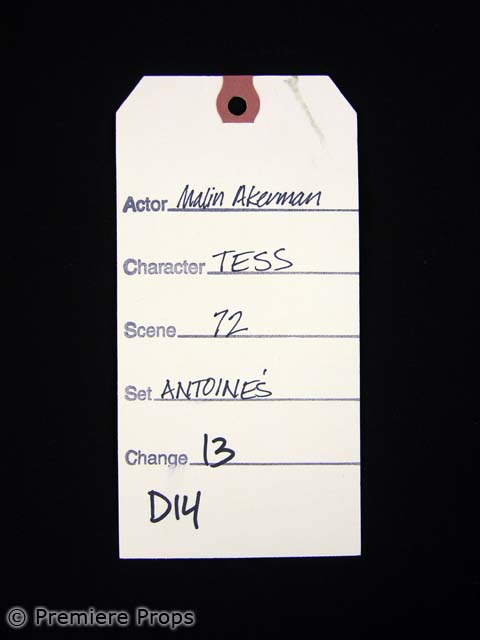 Hollywood Backlot - 27 DRESSES Tess (Malin Akerman) Hero MOVIE COSTUMES