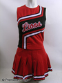 The Blind Side Milford Lions Cheer Uniform Movie Costumes