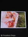 The Dead Girl Krista (Brittany Murphy) Color Photo Movie Props